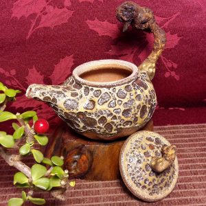 芙蓉木蟲蛀陶壺F03