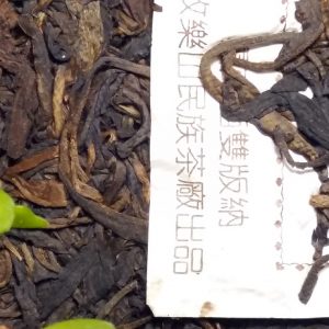 野生喬木磚（攸樂山）