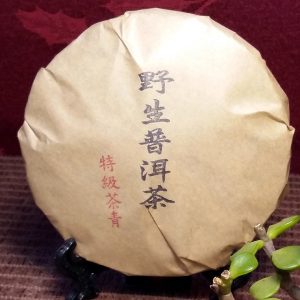 野生普洱茶100g